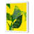White Single Picture Framed