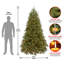Jersey Fraser 7.5' Green Fir Artificial Christmas Tree with 1000 Warm White LED Lights Includes Stand-1292873042