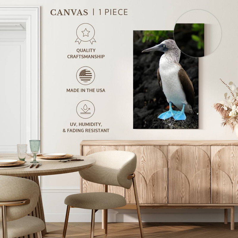 Brampt Blue-Footed Booby Birds, 30" H x 20" W