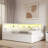 Daybed With Usb Ports And Led Belt And Trundle