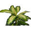 130cm Faux Banana Leaf Plant in Pot