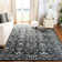 Osakis Performance Oriental Rug