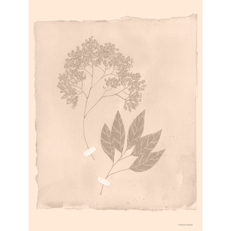 «Tearstain Florals I» sur toile par Rachel Nieman, H 48 po x l 32 po x P 1,25 po