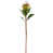 Light Yellow est en rupture de stock