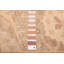 Tapis brun 18 pi 20 po 9 pi 10 po x 13 pi 8 po Pako