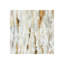 Inner Wood Print by Samuel Kane-26676145-26676146