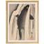 "Carpe sautant par-dessus les vagues"-101825464-101825467