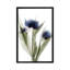 X-Ray Tulip IX par Judy Stalus - reproduction sur toile-72123194-72123195