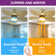 Kowalewski 52'' Ceiling Fan with LED Lights