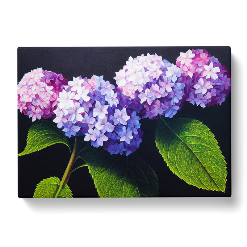 Hydrangea Flower View Vol.2 - Wrapped Canvas, 35cm H x 50cm W x 3cm D