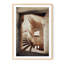 Davinci Staircase-555251729-555251742