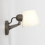 Imari 1 - Light Spotlight-322726585