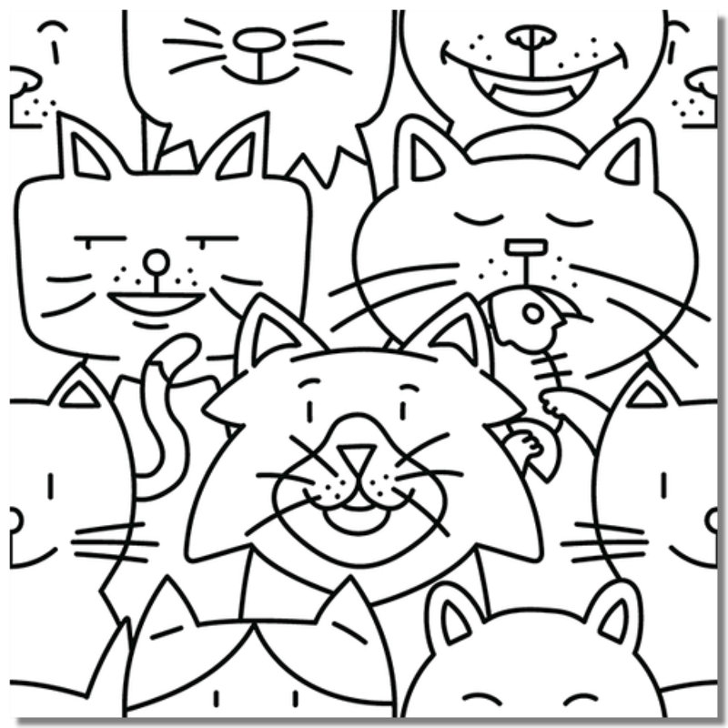 Joli chaton 10 x 10