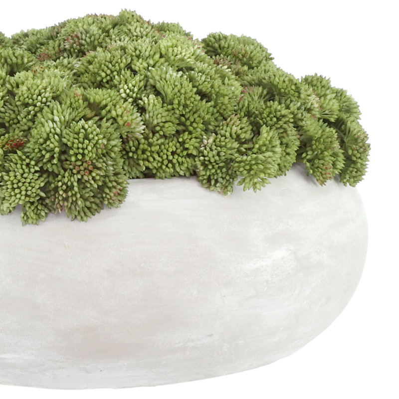 Sedum Arranged in a Stone Planter, Light Green, 7" H x 11" W x 11" D