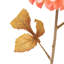 Faux Stem Dahlia Orange 730mm (6pk)-230803438