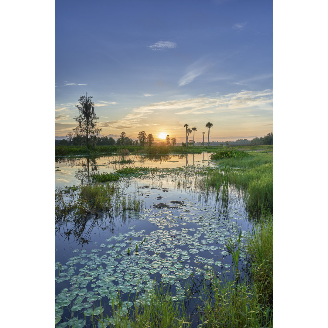 Orlando Wetlands Park - Drucken