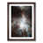 Walnut Framed selected