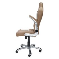 https://assets.wfcdn.com/im/25613228/resize-h210-w210%5Ecompr-r85/1469/146968968/Silver+Brumley+Gaming+Chair.jpg