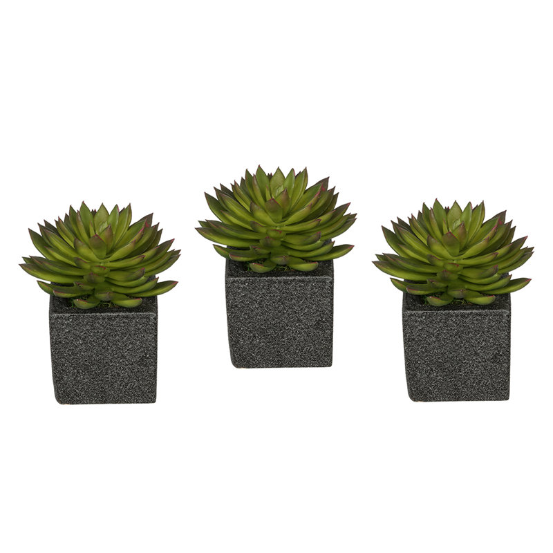 6'' Faux Echeveria (succulents) Succulent in Ceramic Decorative Vase, White, Green
