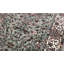 Wool Oriental Area Rug