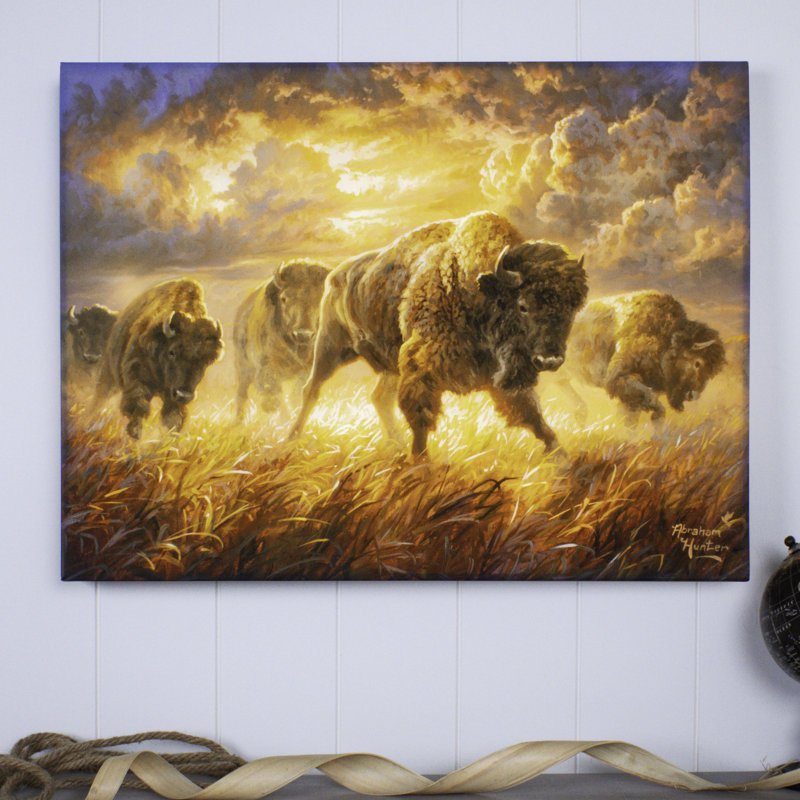 Courir Buffalo 18 x 24 entièrement illuminé impression DEL ColorChange