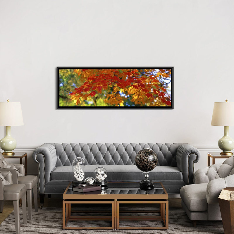 East Urban Home 'Fall Foliage, Guilford, Baltimore City, Maryland ...