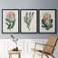 Protea N13 - Ensemble de 3 reproductions d'art-610855369-610503989