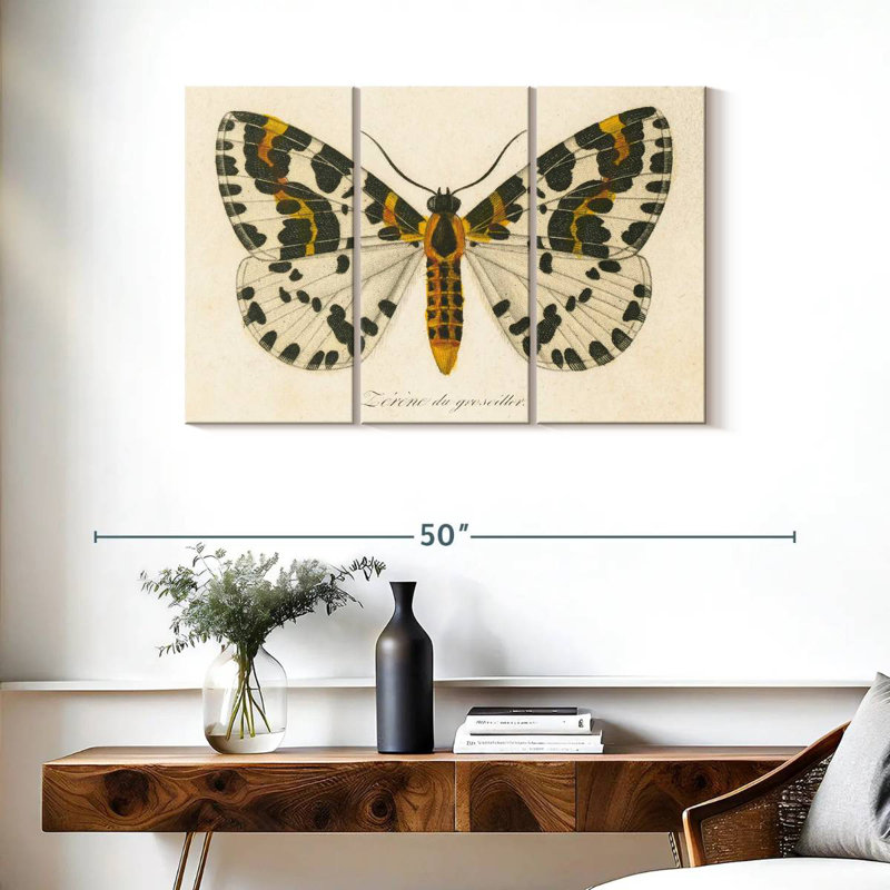 Brampt natures papillon IV, H 24 po x l 38 po