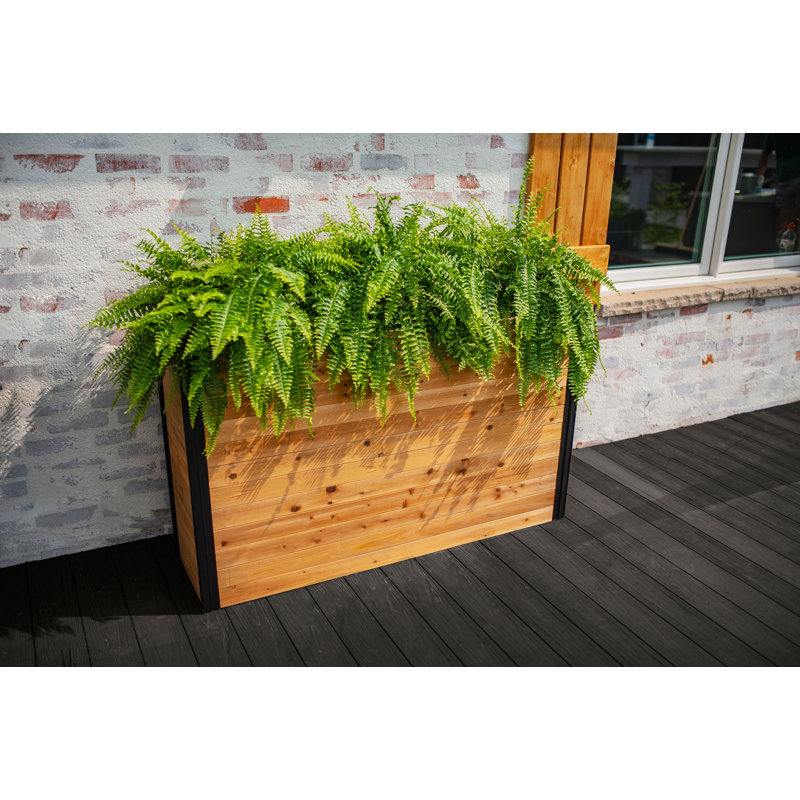 Mezza Parklette Planter, 32.25" H x 59" W x 16.13" D, Brown