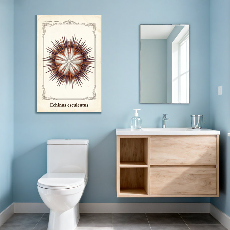 Animals Echinus Esulentus Sea Urchin Pattern Print, 18" H x 12" W