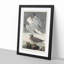 Herring Gulls by John Audubon - Picture Frame Painting Print-55579882-55579885