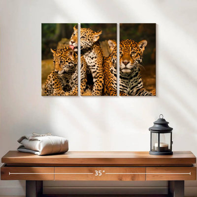Jaguar Tribe