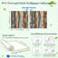 Papier peint auto-adhésif Peel and Stick Planks-1720910985