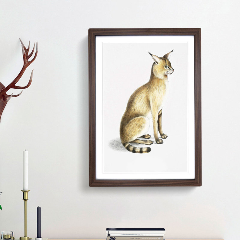 Allied Cat 1 Piece Single Picture Frame Painting, 33cm H x 24cm W x 2cm D, Walnut Framed