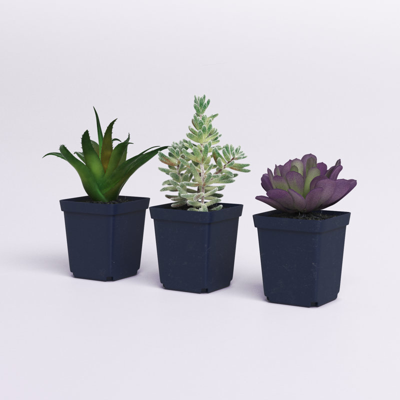 Ensemble de 3 plantes grasses artificielles en pot
