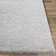 Bjarne Oriental Indoor Rug
