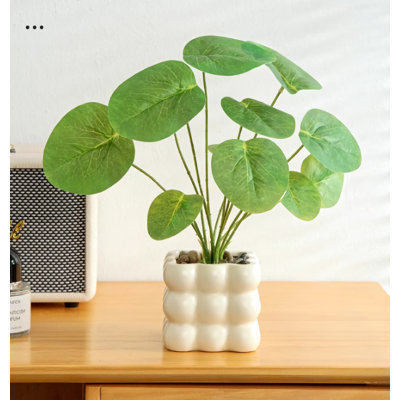 10,24 po plante artificielle