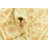 Runner Delao Light Beige Rug