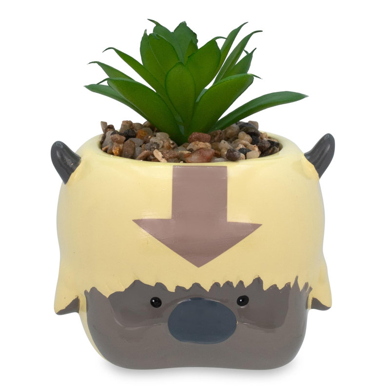 Plante grasse artificielle 5,5 po en pot