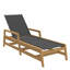 Seashore N-Dura Chaise-1375432256