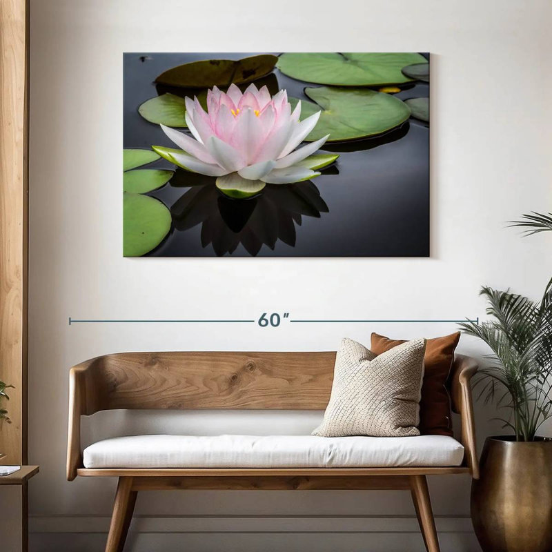 Lotus blanc rosé Harnek, H 30 po x l 45 po
