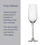 Mikasa Eloise Champagne Flute Glass Set of 2, 7.5 Ounce
