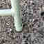 Customer photo 3 of 4