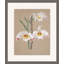 Orchid Study 1 Painting