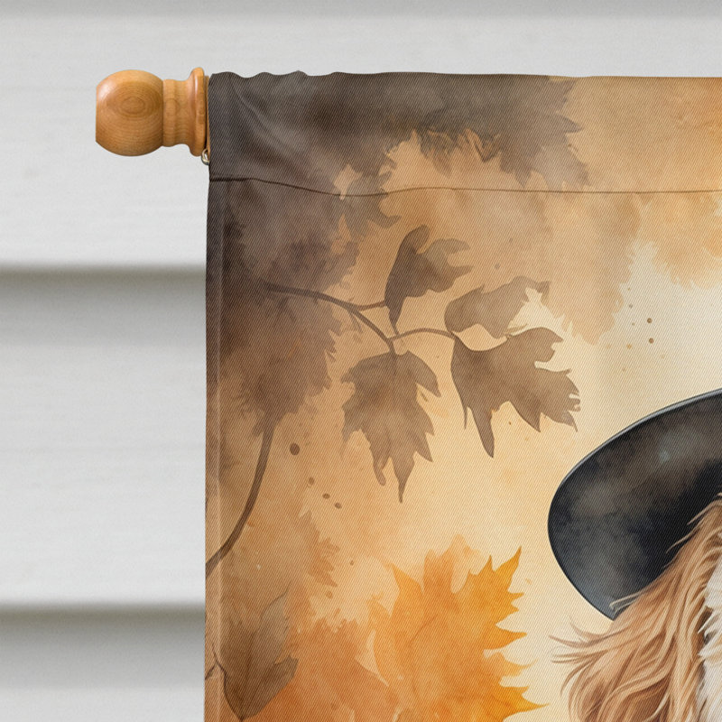 Drapeau de l'Action de grâce, Labradoodle
