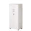 Fonte Storage Cabinet with Lock, 2 Door 2 Shelf Storage Cupboard File Cabinet-126002819