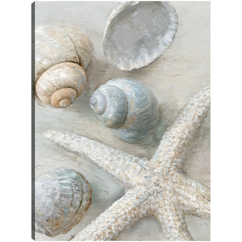 Coastal Treasures Seashells and Starfish Canvas Art Print