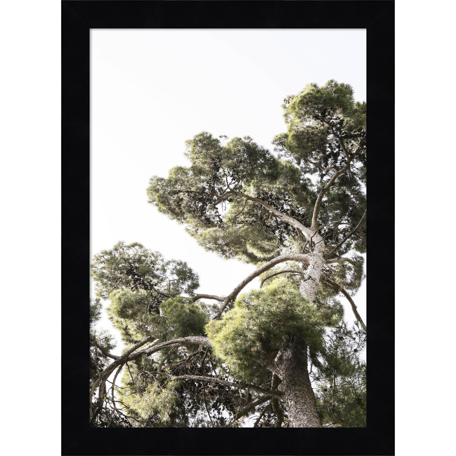Japanese Garden 01 by Shot by Clint Wood Framed Wall Art Print, Black, 13" H x 10" W