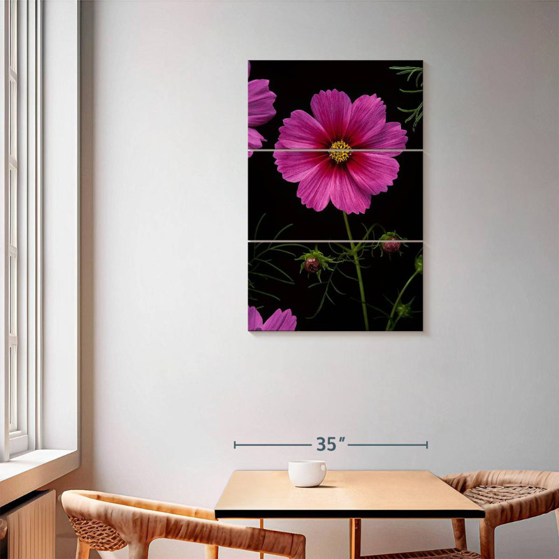 Fleurs Harnek Garden Cosmos, H 57 po x l 36 po
