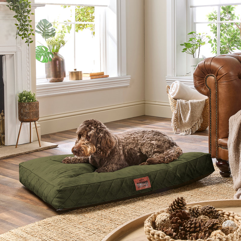 Slumberdown Paws for Slumber Raised Padded Dog Bed – Comfortable, Supportive & Durable Pet Bed for All Breeds, Green